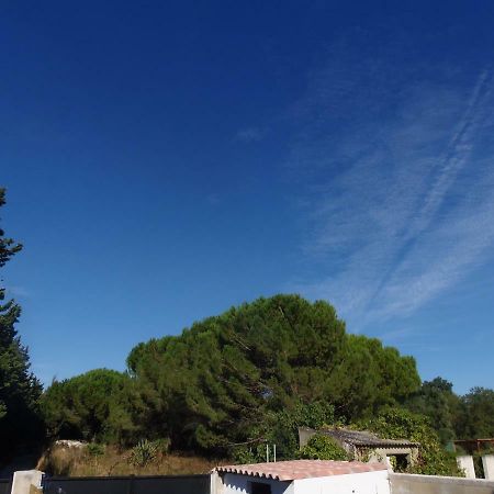 Joli Mazet Entre Montpellier Et Nimes Apartman Aimargues Kültér fotó