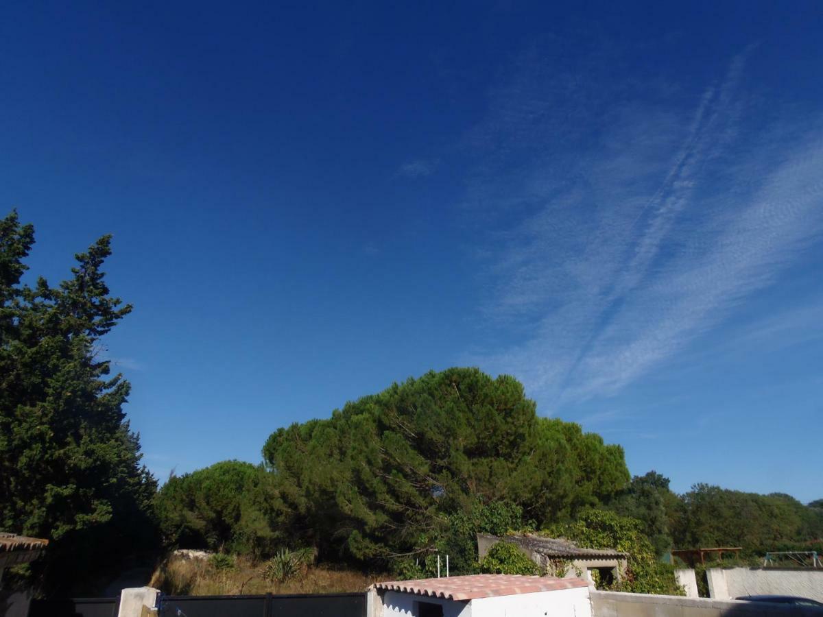 Joli Mazet Entre Montpellier Et Nimes Apartman Aimargues Kültér fotó